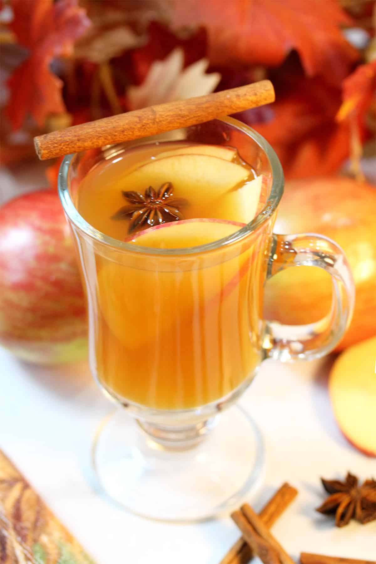Mug of Fireball and apple cider with garnish,