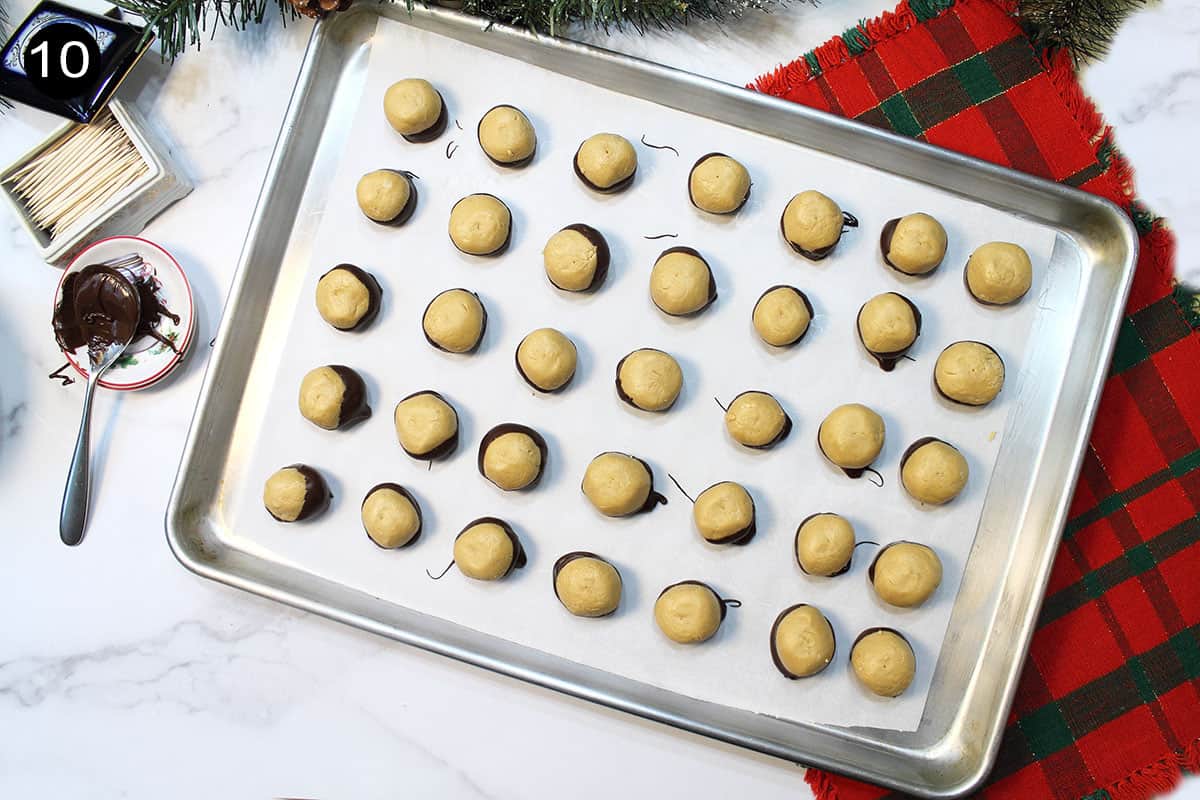 Cookie sheet of buckeyes dipped in chocolate and ready to set.