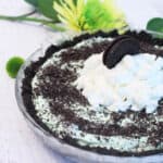 Finished mint pie with chocolate crumbs and whipped cream garnish.