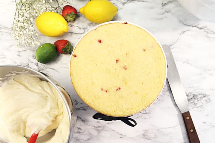 Layer cake on top of cake stand, ready to frost.