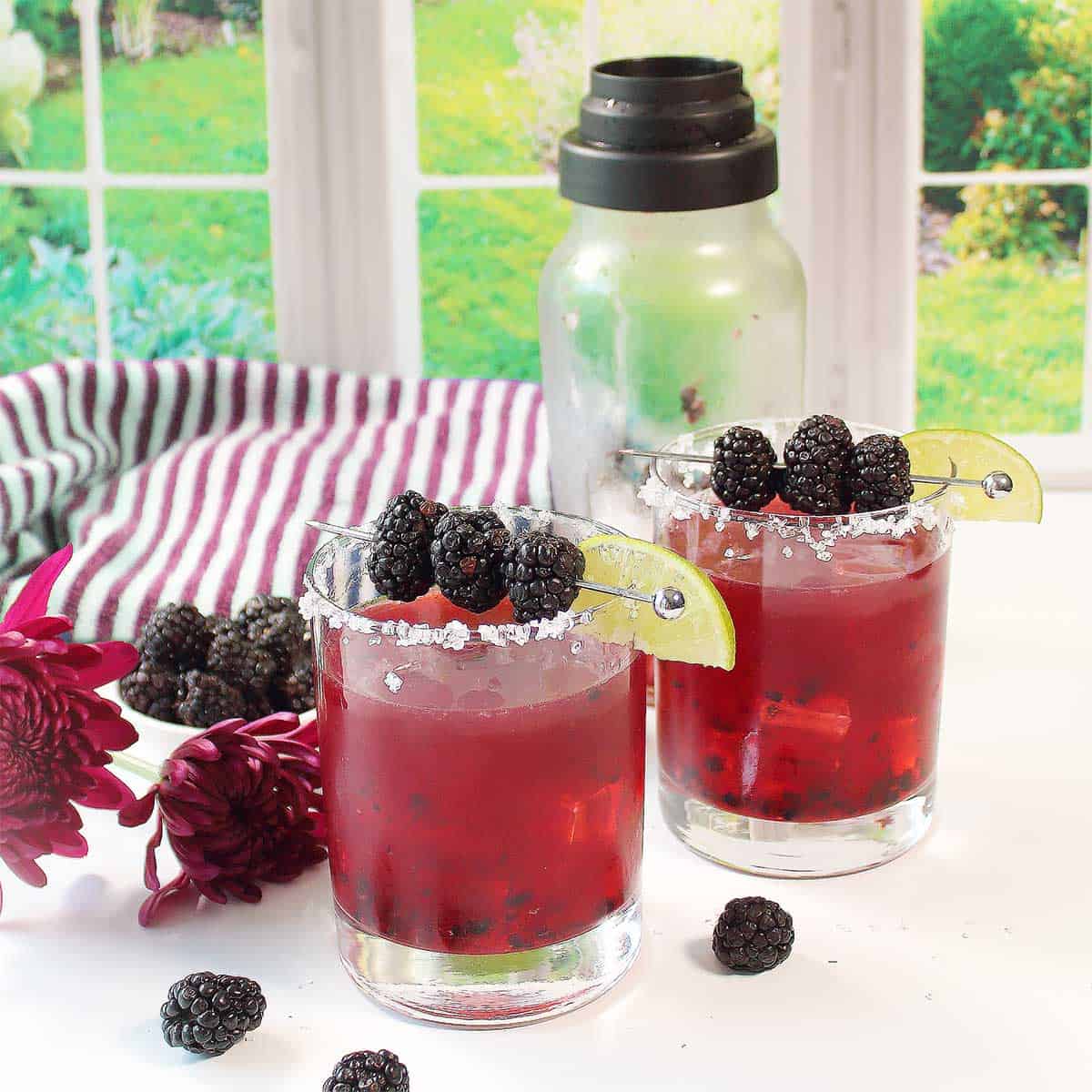 Two drinks in front of cocktail shaker.