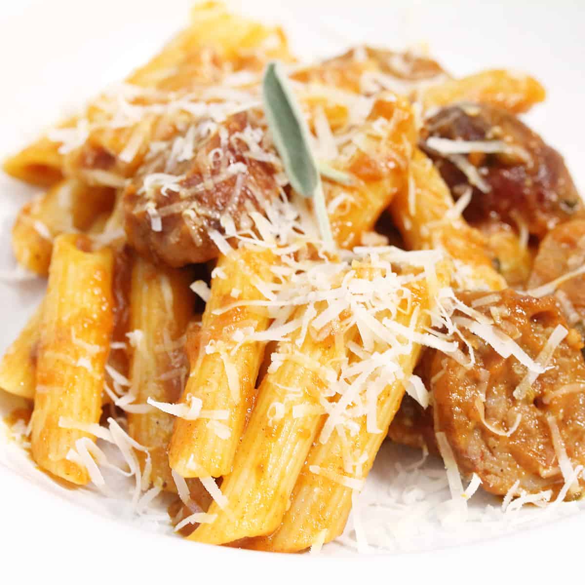 Closeup of bowl of finished pasta with pumpkin sauce.