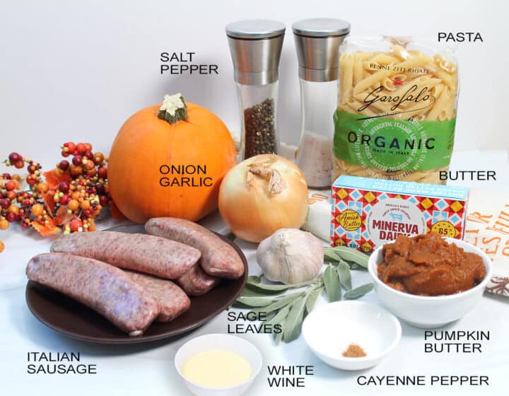 Ingredients for pumpkin sauce on white table with pumpkin.