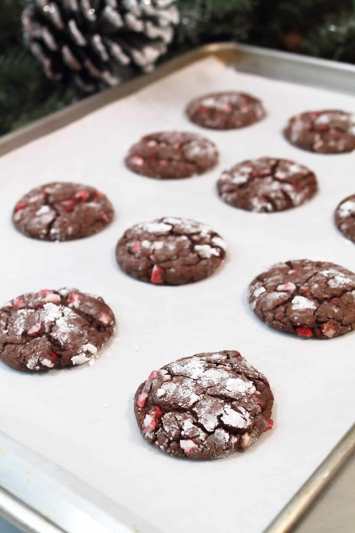 Baked chocolate cake mix cookies on cookie sheet.