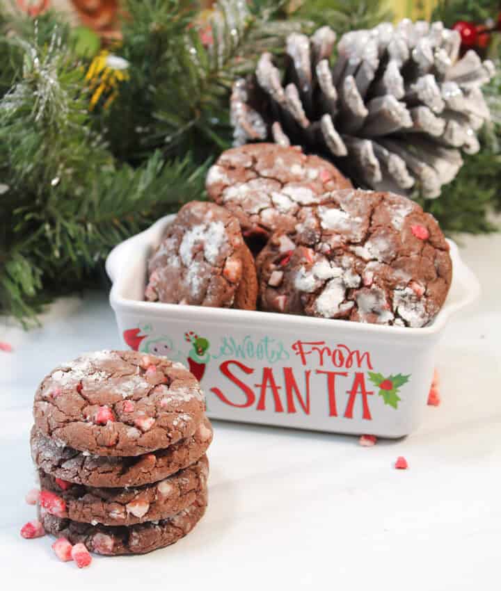 Stack of chocolate peppermint cookies in front of Christmas dish.