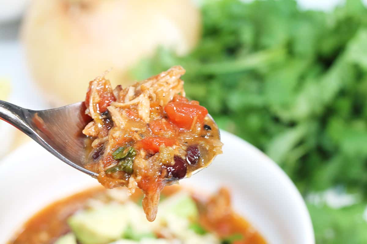 Closeup of spoonful of stew over white bowl.