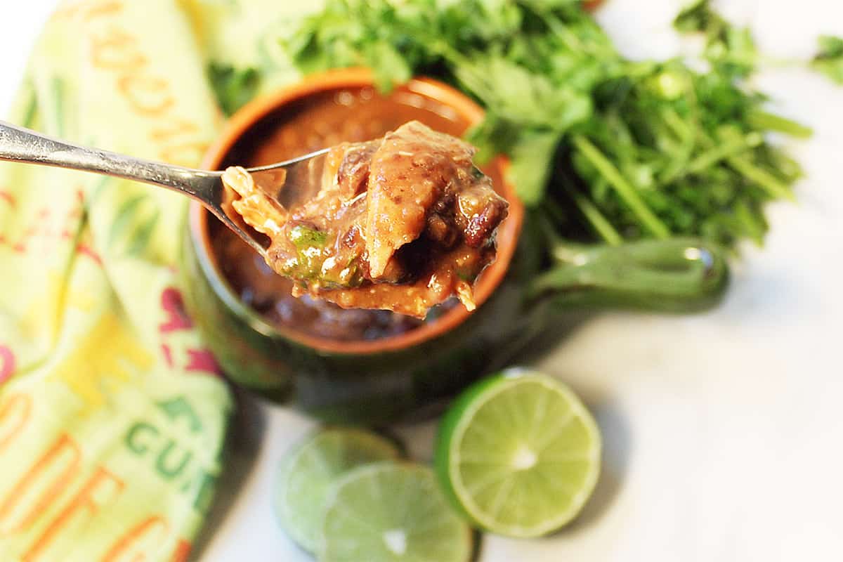 Closeup spoonful of black bean salsa soup.