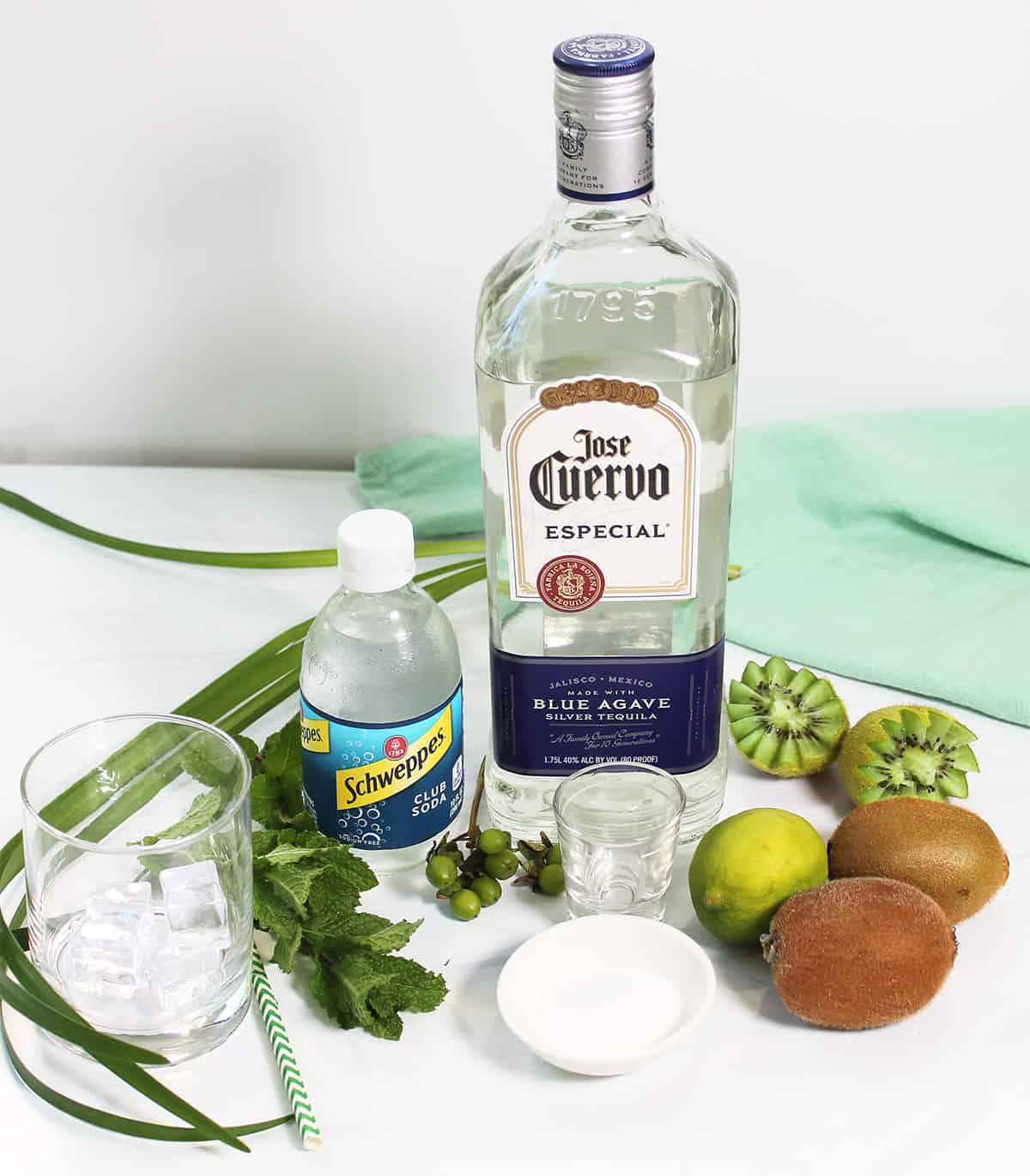 Ingredients for kiwi cocktail on white table.