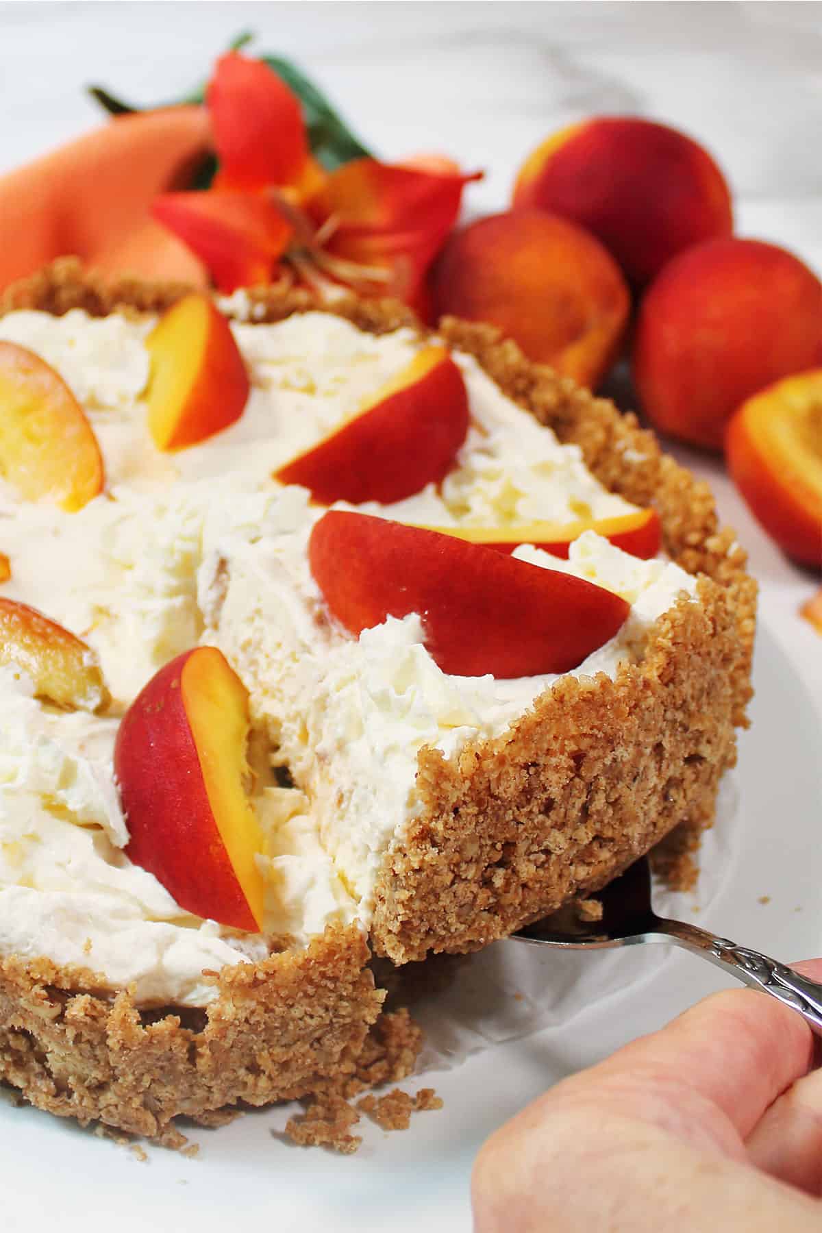 Lifting slice of fresh peach no bake cheesecake out of pie.