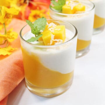 Single mango panna cotta closeup.