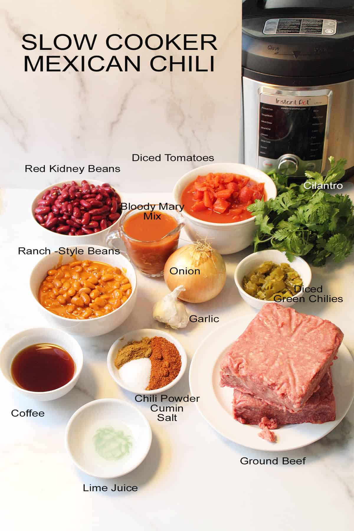 Mexican Chili ingredients labeled.