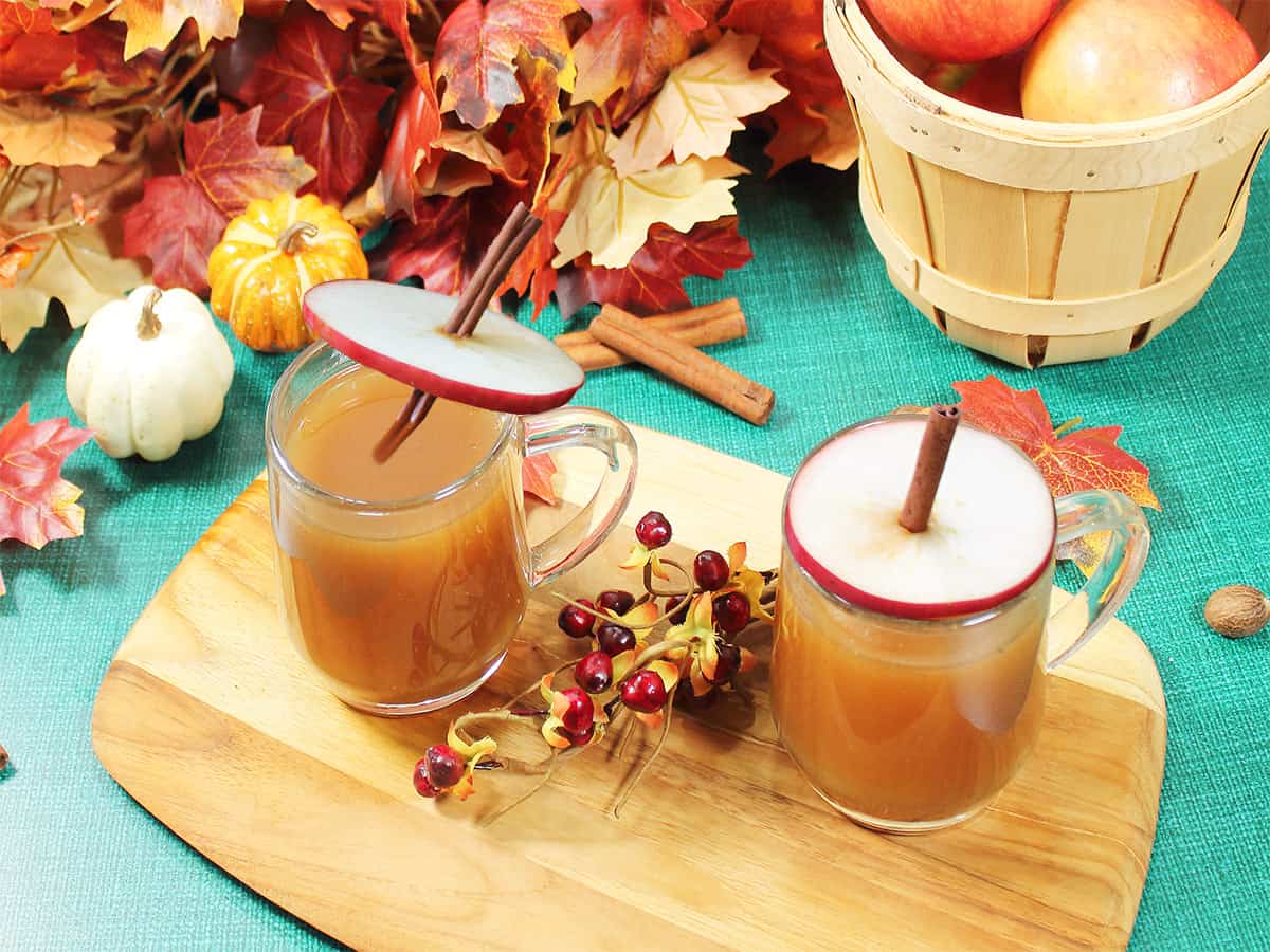 Apple on cinnamon stick covering cider to keep warm.
