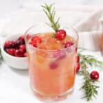 Closeup of cranberry bourbon cocktail with cranberries.