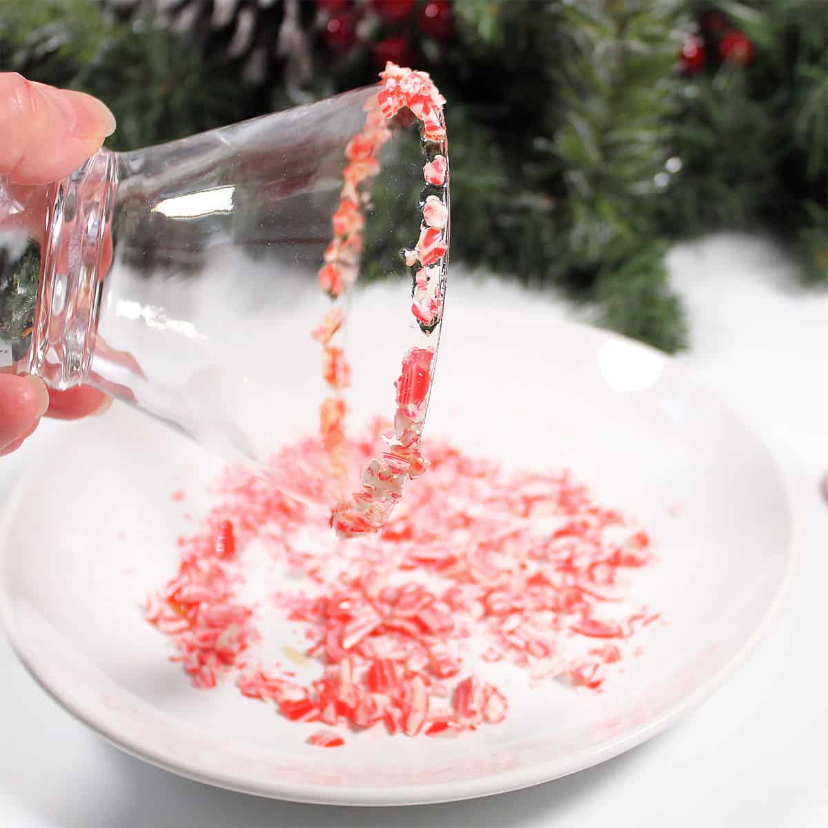 Dipping rim of glass in crushed candy canes.