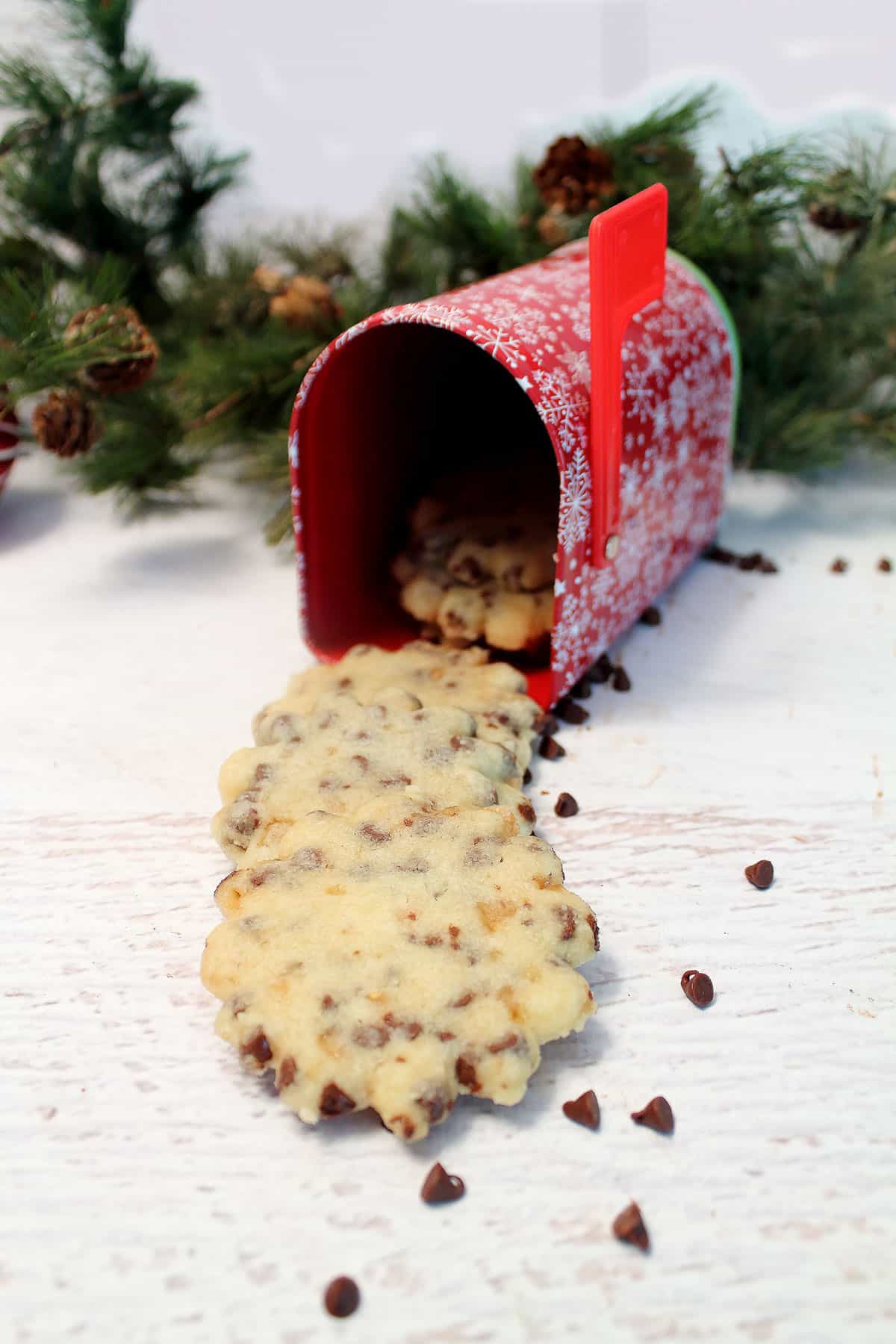 Toffee Shortbread cookies by mailbox.