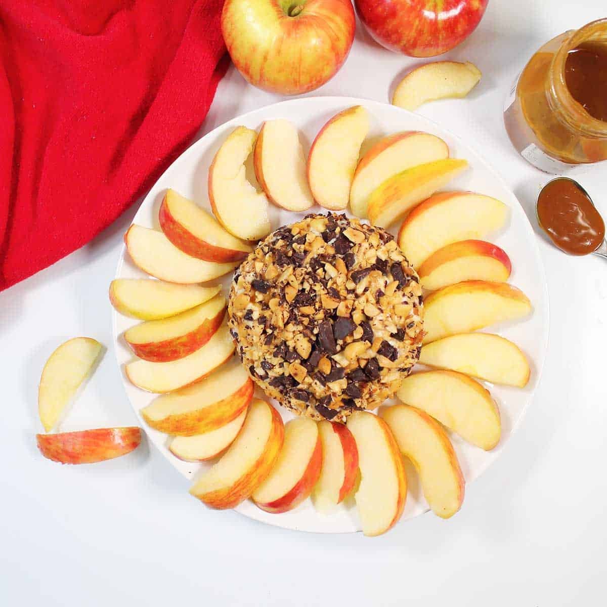 Overhead of caramel apple cheese ball surrounded by apple slices.