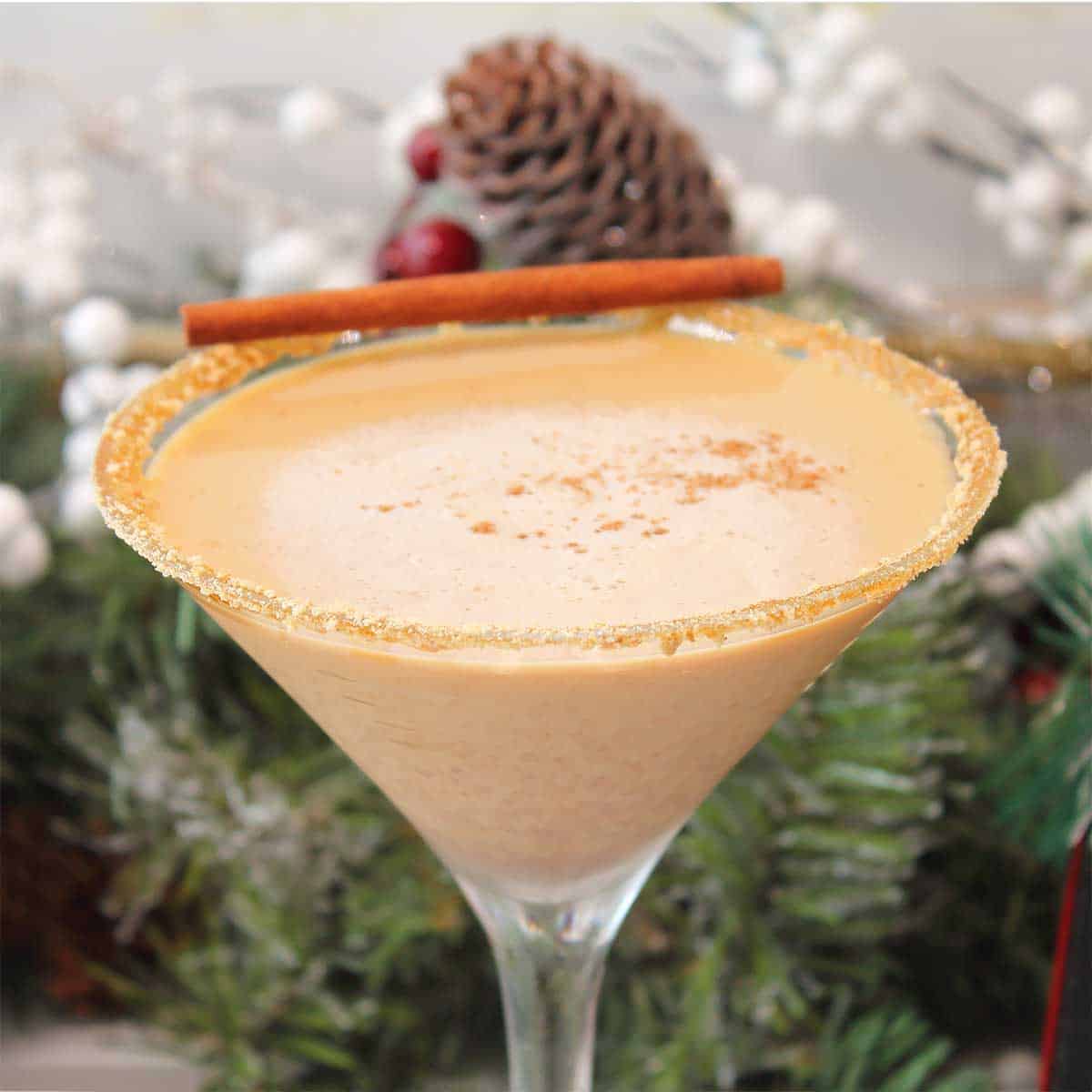 Closeup of gingerbread martini with graham cracker rim and cinnamon stick.