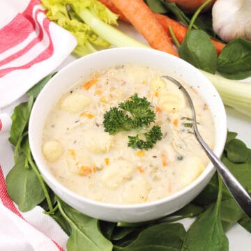 Slow Cooker Chicken Gnocchi Soup with spoon in it.