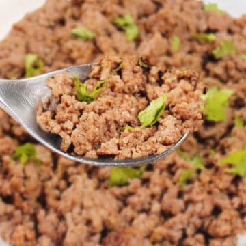 Spoonful of cooked ground beef.