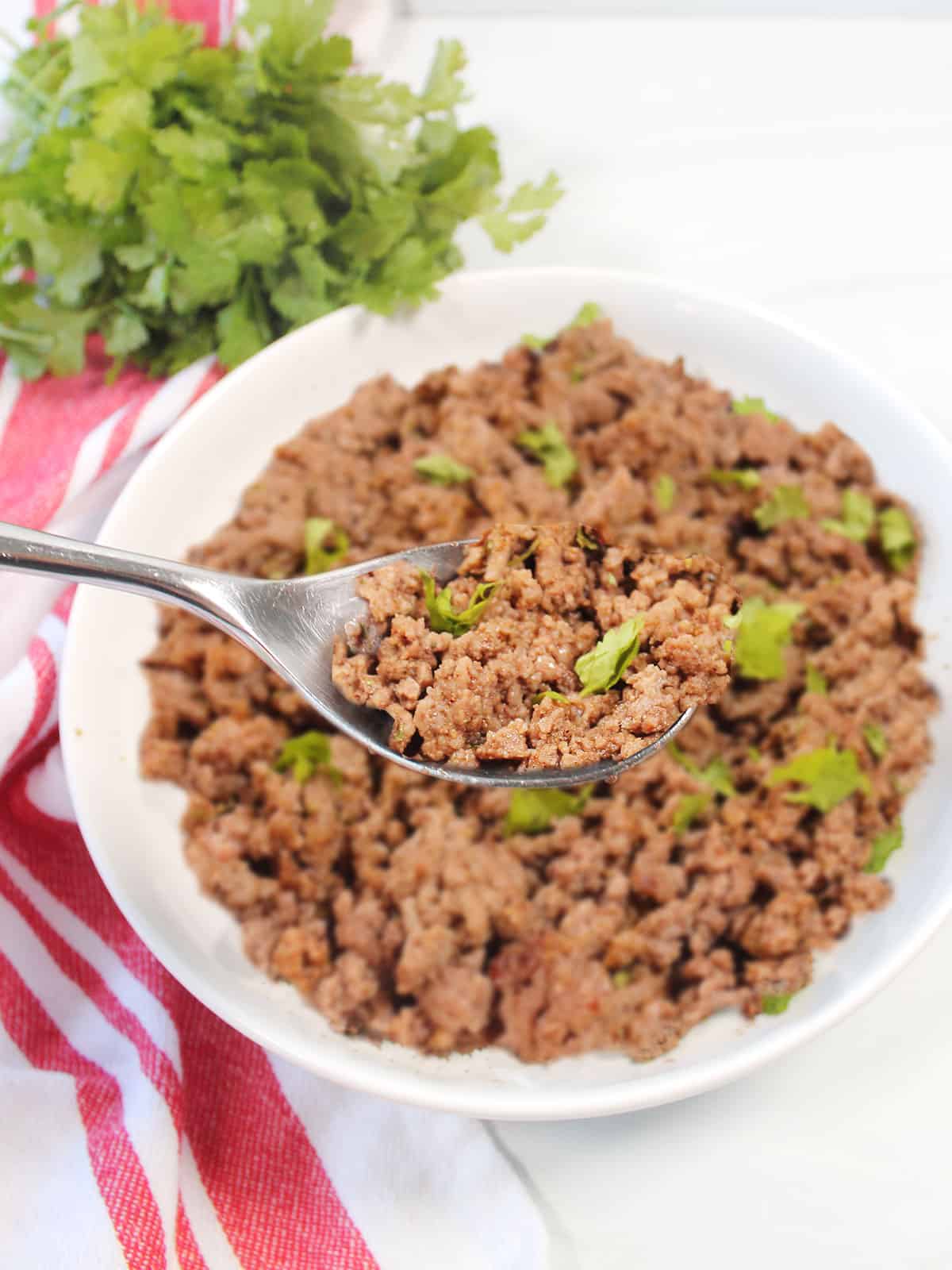Spoonful of cooked ground beef over bowl.