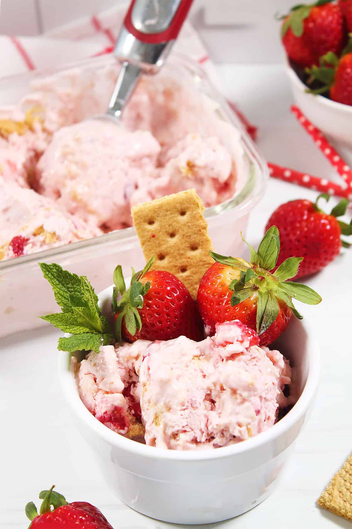 Bowl of Strawberry Cheesecake Cottage Cheese Ice Cream with scoop in container in back.