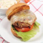 Plated pork burger with lettuce, tomato and cheese.