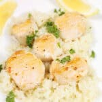 Closeup of seared sea scallops over riced cauliflower.