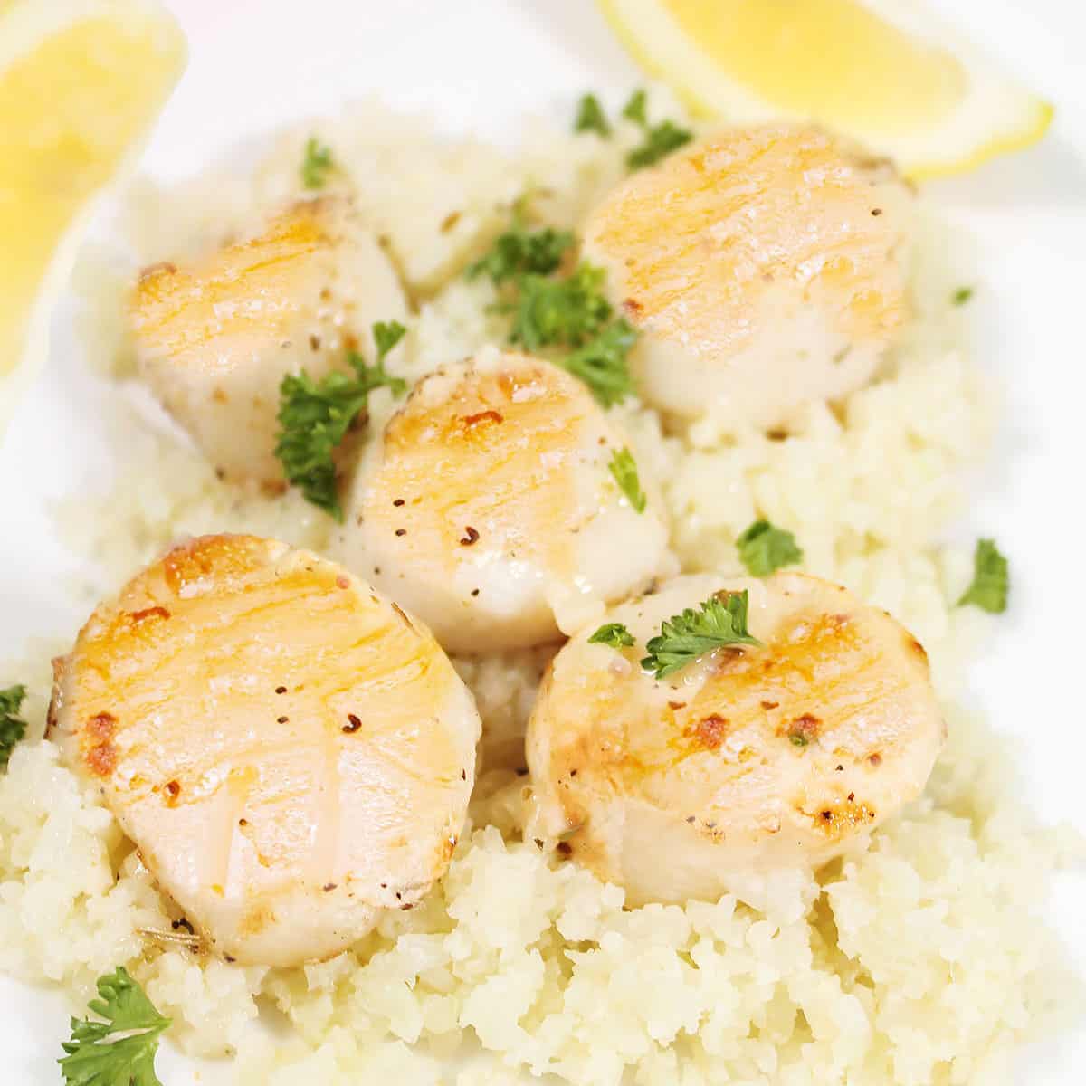 Closeup of seared sea scallops over riced cauliflower.