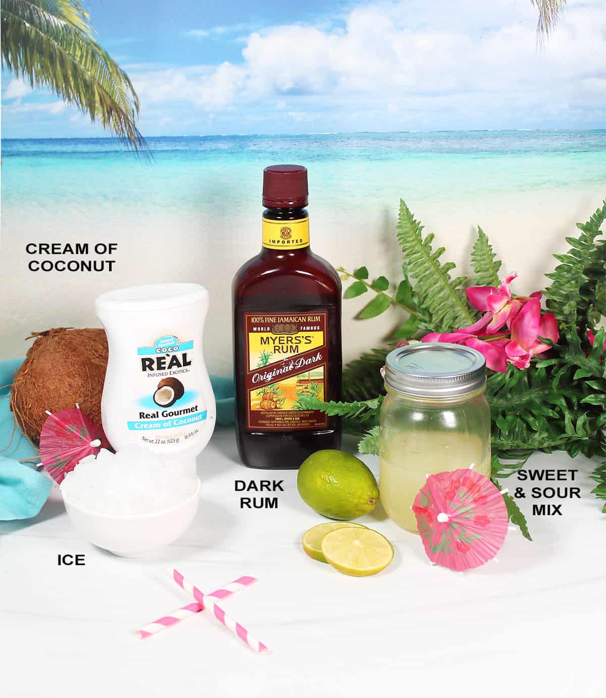 Ingredients for coconut daiquiri recipe.
