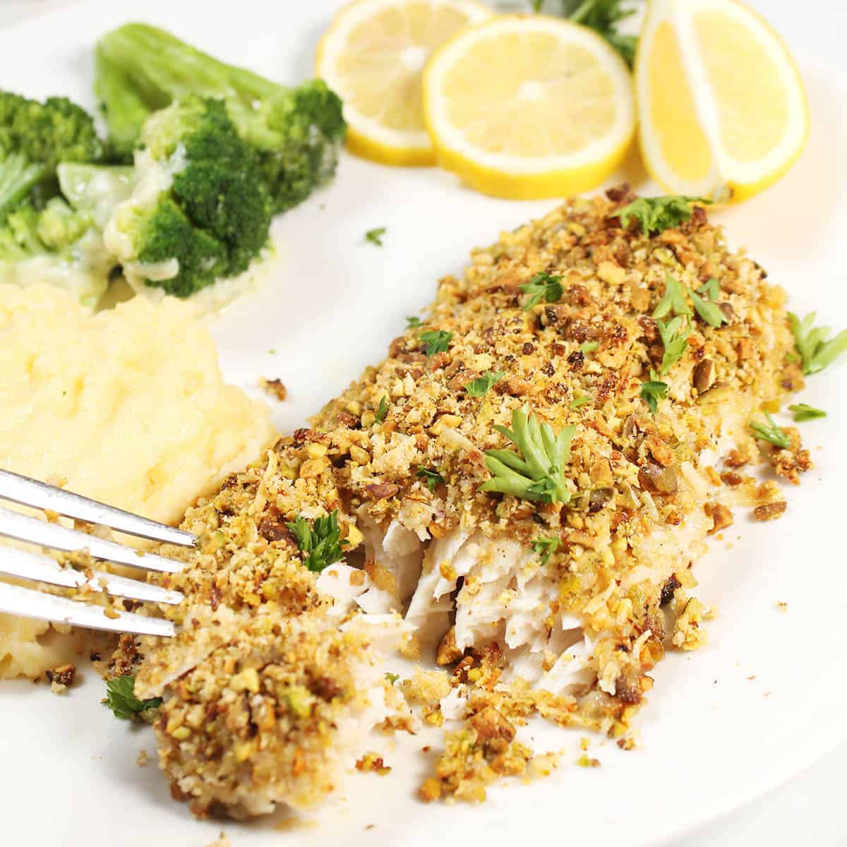 Plated pistachio crusted mahi mahi forked to show flakiness.