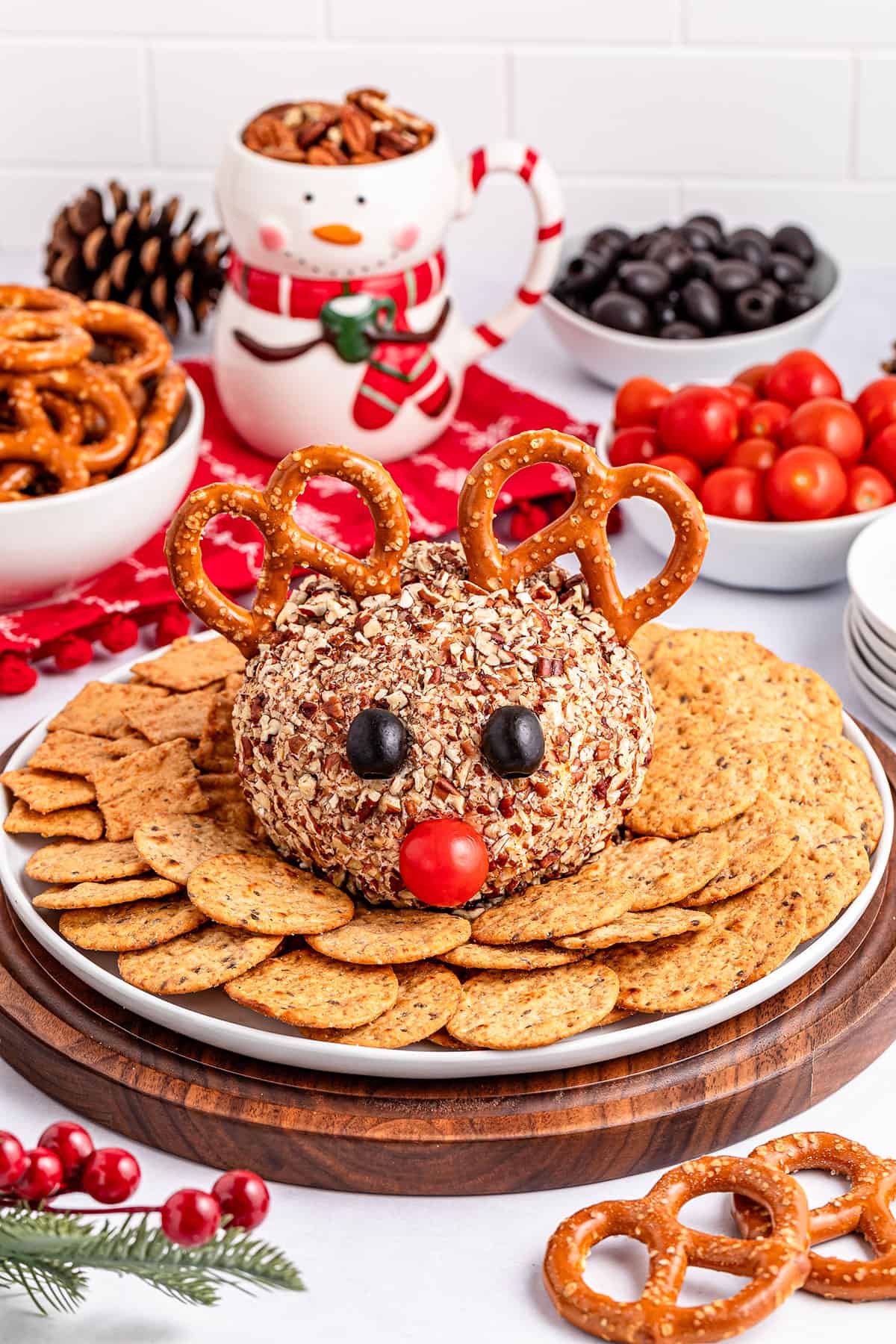 Plated ready to serve Christmas cheese ball.